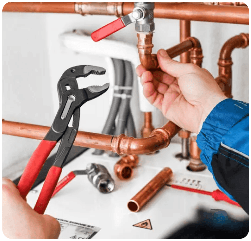 MP Plumbing Character