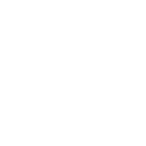 Experienced Technicians